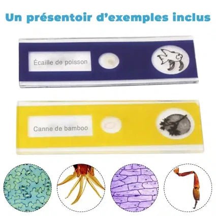 Microscope de Poche - La Passion Des Enfants