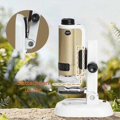 Microscope pour enfant MicroWorld utilisé pour explorer la nature - La Passion Des Enfants